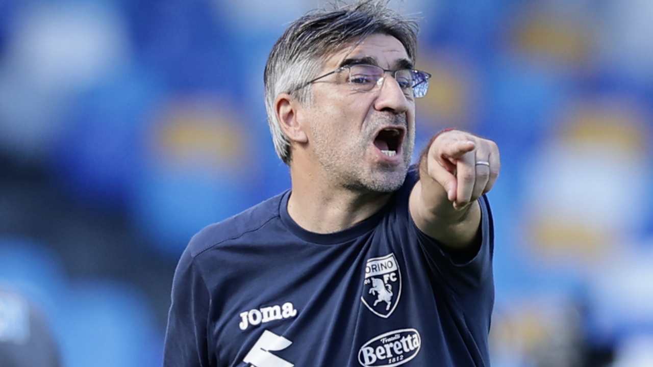 Juric molto arrabbiato Torino